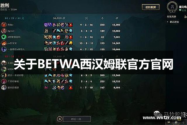 关于BETWA西汉姆联官方官网